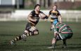 Newport v Bridgend by Peter Ryan